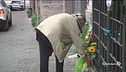 Lutto cittadino a Viterbo