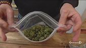 "La cannabis light è fuorilegge"