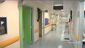 Massacrata di botte a 4 anni