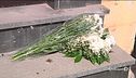 Perché non hanno salvato Iolanda?