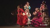 A Milano protagonista il flamenco