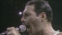 Il segreto di Freddie Mercury