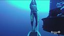 Record italiano di immersione in apnea