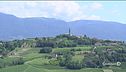 Prosecco patrimonio all'Unesco