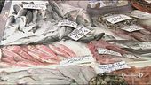 Non c'è più pesce in Europa