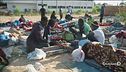 Tripoli libera i primi 350 migranti