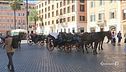 "Mai più cavalli stremati..."
