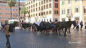 "Mai più cavalli stremati..."