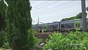 Rogo doloso, treni nel caos