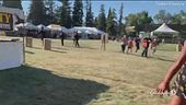 Strage al Festival del cibo in California
