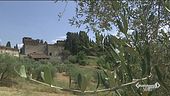 Amatissimo agriturismo