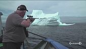 I cacciatori di iceberg