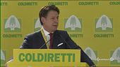 Conte teme i dazi di Trump