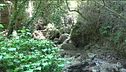 Il Parco Nazionale del Pollino