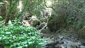 Il Parco Nazionale del Pollino