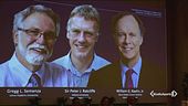 Ecco i Nobel per la medicina