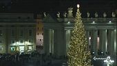 L'albero di natale del Papa