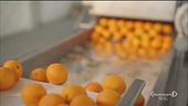 Abbiamo bisogno di una dieta sostenibile