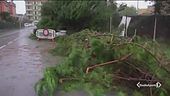 Allerta rossa, Liguria in tilt