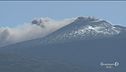 La vendemmia sull'Etna