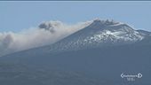 La vendemmia sull'Etna