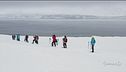 Troppi turisti in Antartide