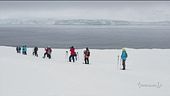 Troppi turisti in Antartide