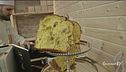 Sua maestà il panettone