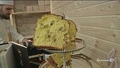 Sua maestà il panettone