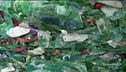 Plastica: l'importanza di riciclare