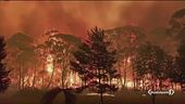 2019, l'anno degli incendi