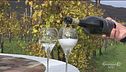 Tra le colline del Prosecco
