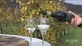 Tra le colline del Prosecco