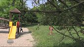 Scandalo Reggio Emilia, i bambini strappati alle famiglie