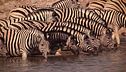 Namibia