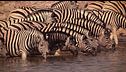 Namibia
