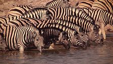 Namibia