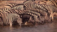 Namibia