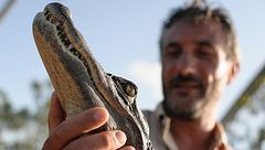 Grandi mammiferi: ritorno in Europa