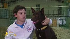 Puntata del 16 dicembre