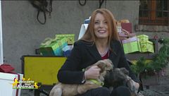 Puntata del 30 dicembre