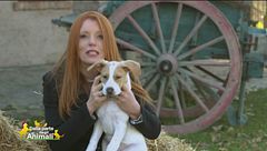 Puntata del 6 gennaio