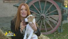 Puntata del 3 febbraio