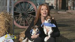 Puntata del 10 febbraio