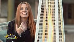 Puntata del 17 febbraio