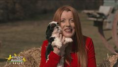 Puntata del 17 marzo