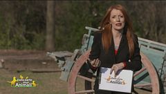 Puntata del 24 marzo