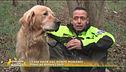 I cani erori del ponte Morandi
