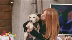 Un'adozione in diretta