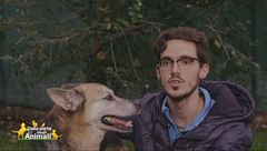 Margherita, una cagnolina eroica